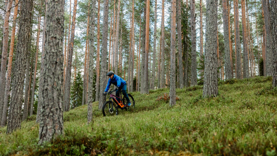 Maastopyöräilyä metsässä.