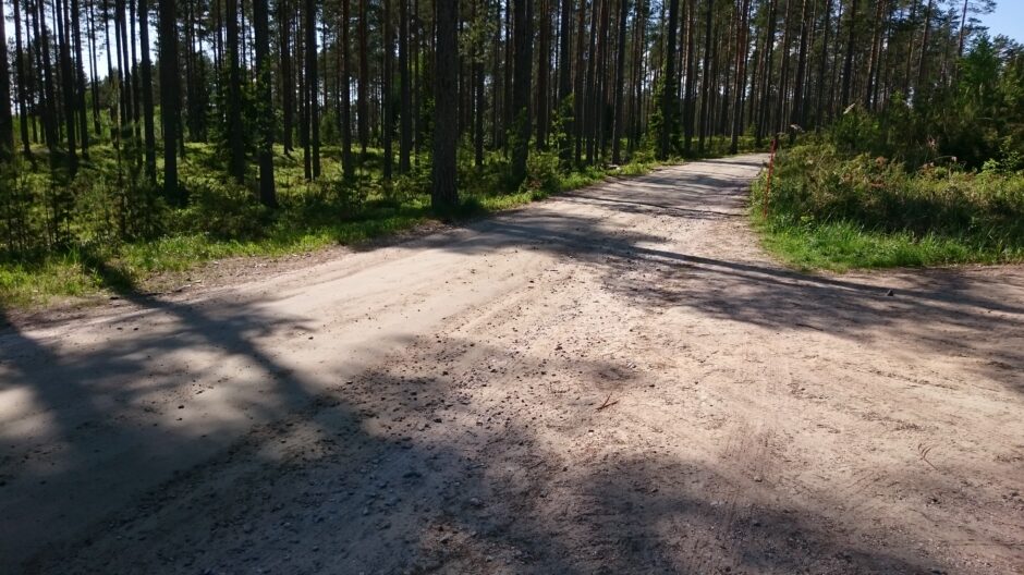 Sorateiden risteys metsäisellä alueella