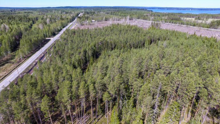 Näkymä korkealta Kontijoentonteista.