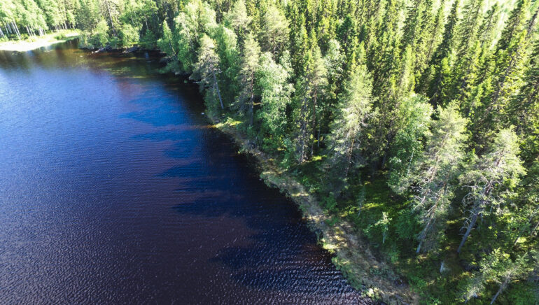 Sapsojärven rantatonttien rantaviivaa.