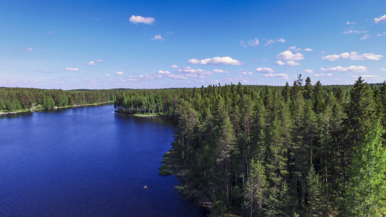 Yleiskuva Sapsojärven ranta-alueesta.