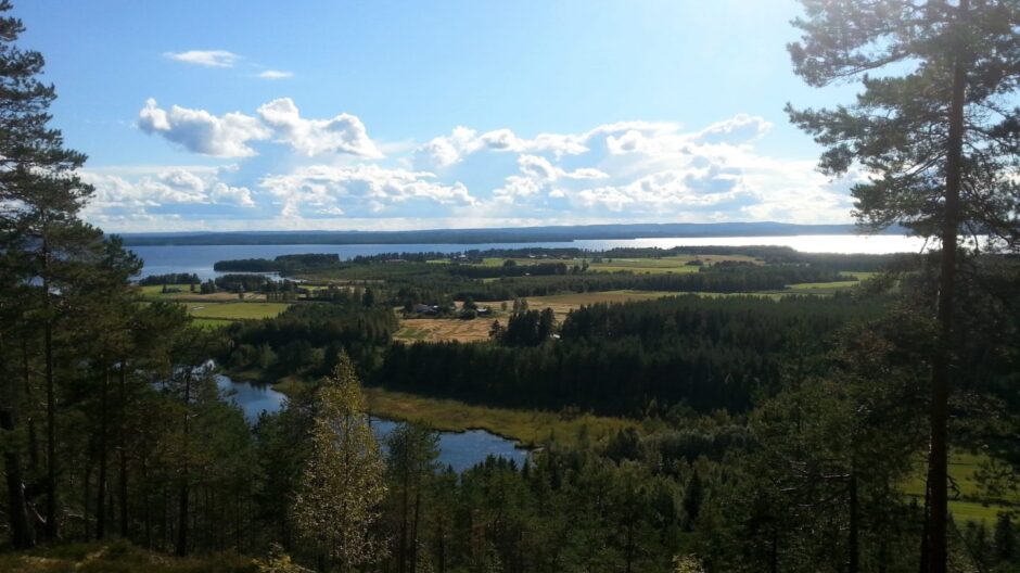 Näkymä Naapurinvaaran louhelta kohti Nuasjärveä.