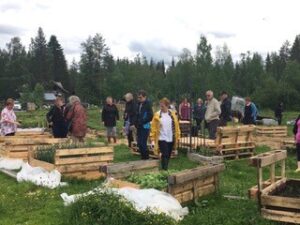 Laakajärven kyläyhdistyksen ihmisiä yhteisöpuutarhalla kesällä.