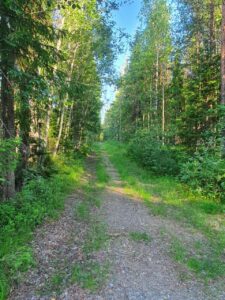Koululta lähtevä ulkoilureitti.