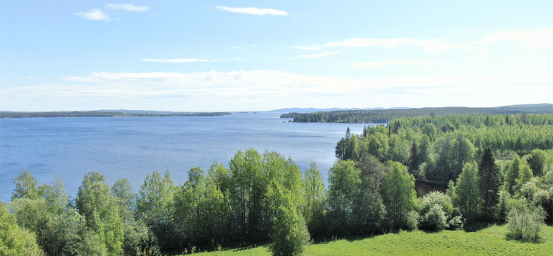 Järvimaisemaa Korholanmäellä