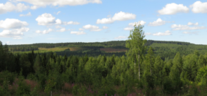 Naulavaaran maisemia