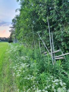 Kylän perinnemaisemaa