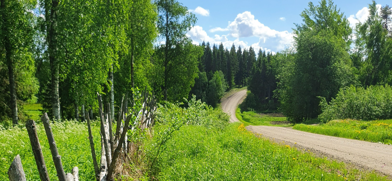 Suovaara maisema