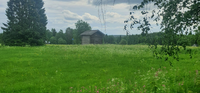 Torinkylän maisemakuva