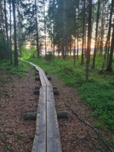 Pitkospuut saattelevat uimarannalla