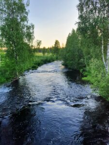 Pungankoski