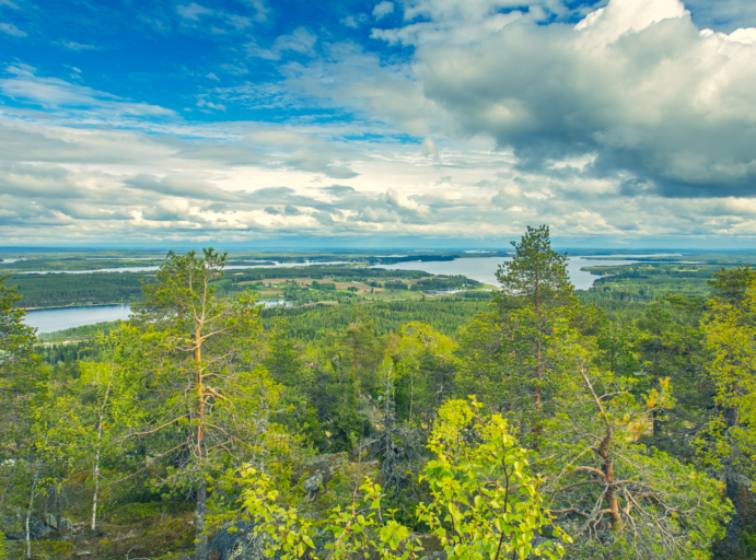 Sotkamon ja Vuokatin maisemaa hallitsee Vuokatin 13 peräkkäisen vaaran jono. Vuokatinvaarojen laelta avautuvat upeat maisemat alueen järville, lännessä Nuasjärvelle, idässä Sapso-, Kianta- ja Kiimasjärville. Pohjoispuolella aukaa maisema Vuokatin yli Naapurinvaaralle. Vaaran laella on esteetön katselutasanne sekä hieman ylempänä näkötorni. Vaaran laelle pääsee autolla Sotkamon ja Kajaanin väliseltä eteläpuolen tieltä. Esteettömän katselutasanteen vieressä on erillinen pysäköintialue heikomman toimintakyvyn omaaville.