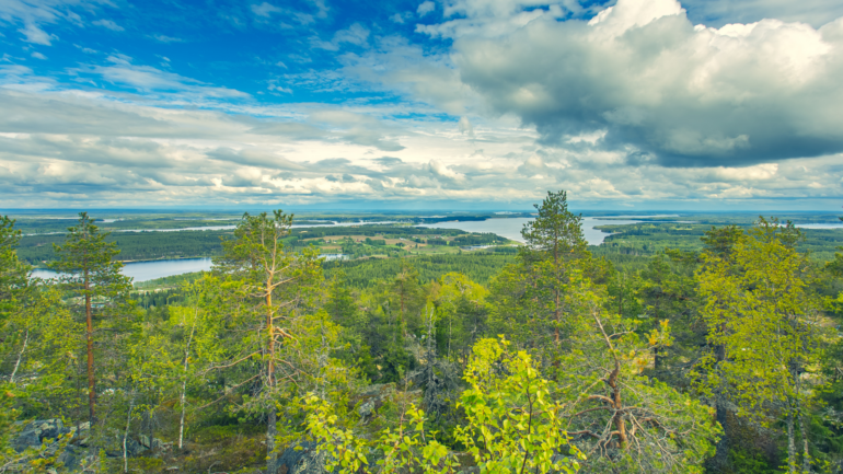 Sotkamon ja Vuokatin maisemaa hallitsee Vuokatin 13 peräkkäisen vaaran jono. Vuokatinvaarojen laelta avautuvat upeat maisemat alueen järville, lännessä Nuasjärvelle, idässä Sapso-, Kianta- ja Kiimasjärville. Pohjoispuolella aukaa maisema Vuokatin yli Naapurinvaaralle. Vaaran laella on esteetön katselutasanne sekä hieman ylempänä näkötorni. Vaaran laelle pääsee autolla Sotkamon ja Kajaanin väliseltä eteläpuolen tieltä. Esteettömän katselutasanteen vieressä on erillinen pysäköintialue heikomman toimintakyvyn omaaville.