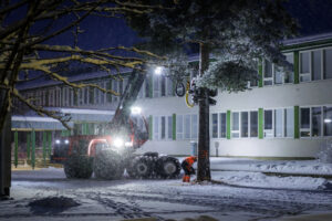 Pihapuiden kaatoa Tenetin koululla.