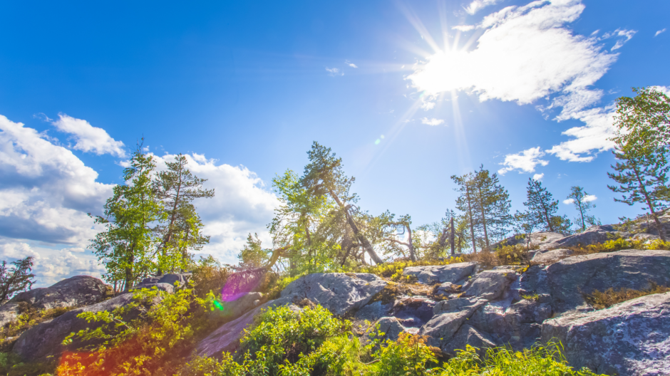 Keväinen kuva Vuokatinvaaran kalliolta.