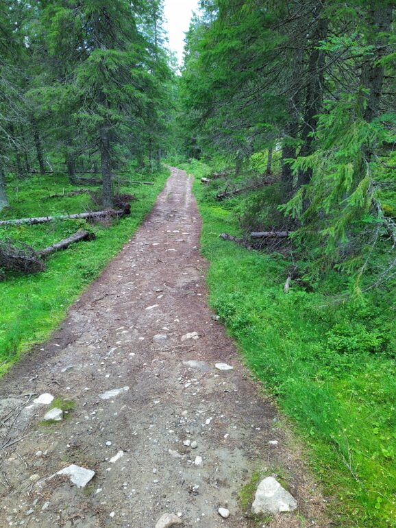 Polku