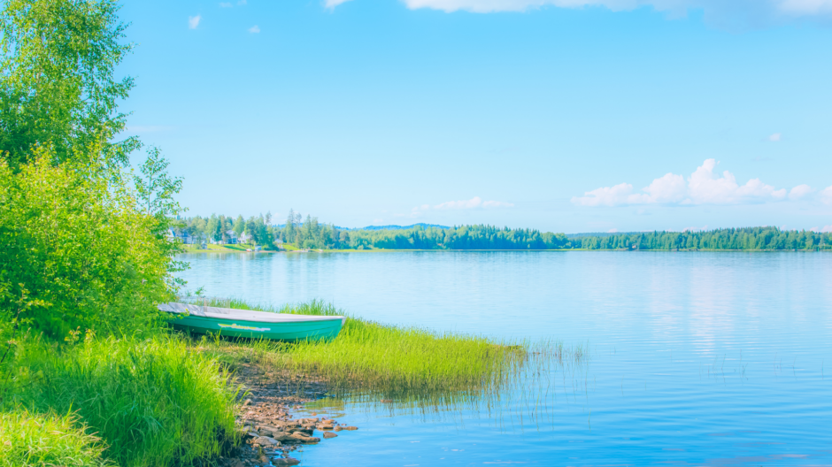 Kesäinen kuva Tenetinvirralta.