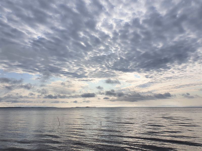Järvimaisema.