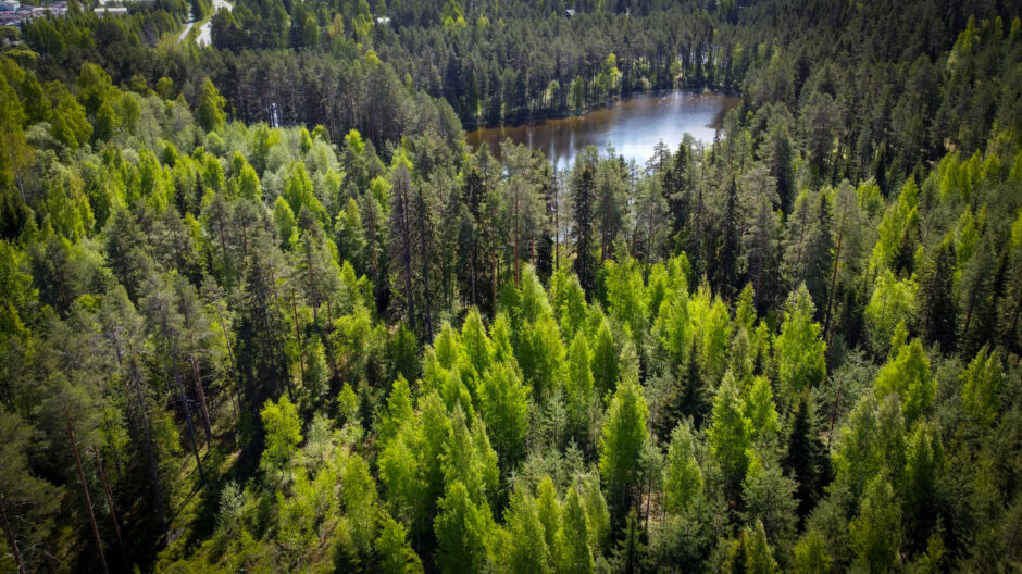 Maisemassa metsää ja Leivolanlampi ilmasta kuvattuna.