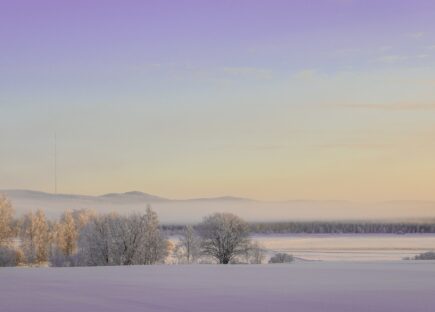 Talvinen maisemakuva Vuokatista, violettia väriä taivalla ja lumen heijastuksissa. Kuvituskuva.