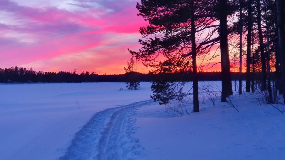 Auringonlasku, lumihanki ja puita