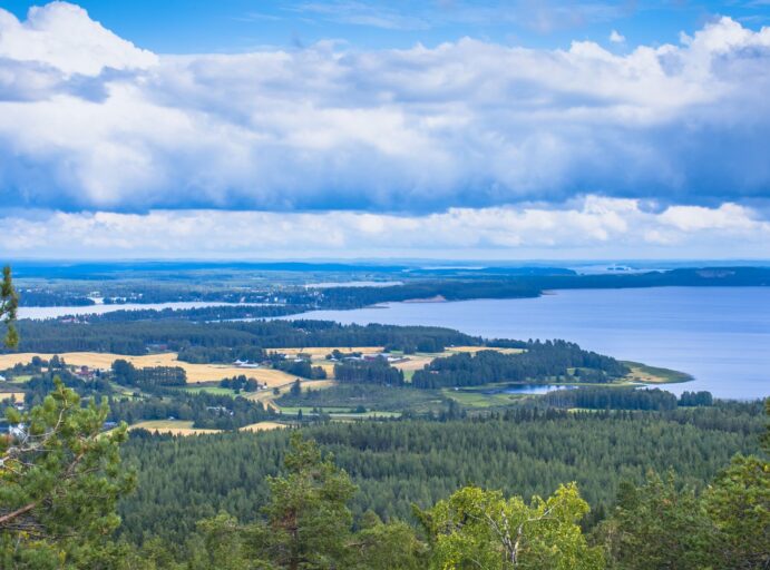 Kesäinen näkymä Vuokatin vaaralta kohti Sotkamoa.