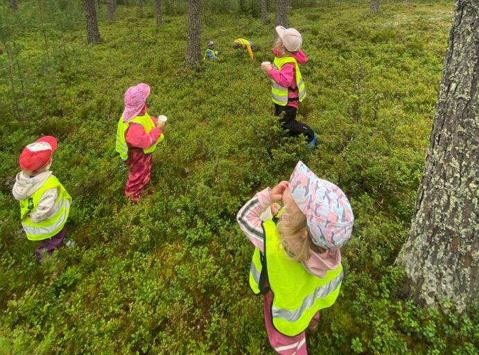 Kuusi lasta metsässä poimimassa mustikoita pieniin mukeihin.