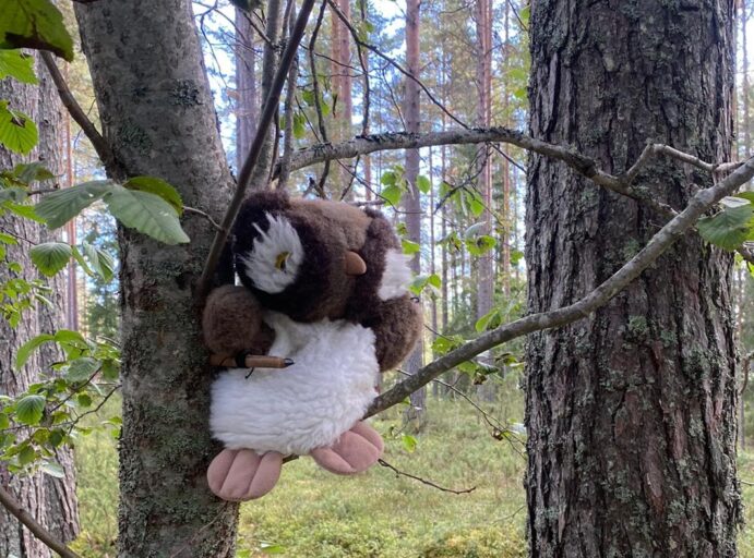 Pöllökäsinukke istuu puun oksalla metsässä.