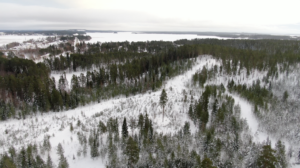 Kuvassa talvinen Leivolanlahden alue ilmasta kuvattuna