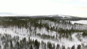Kuvassa talvinen Leivolanlahden alue ilmasta kuvattuna