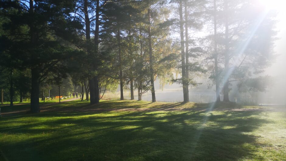 Kesämaisema