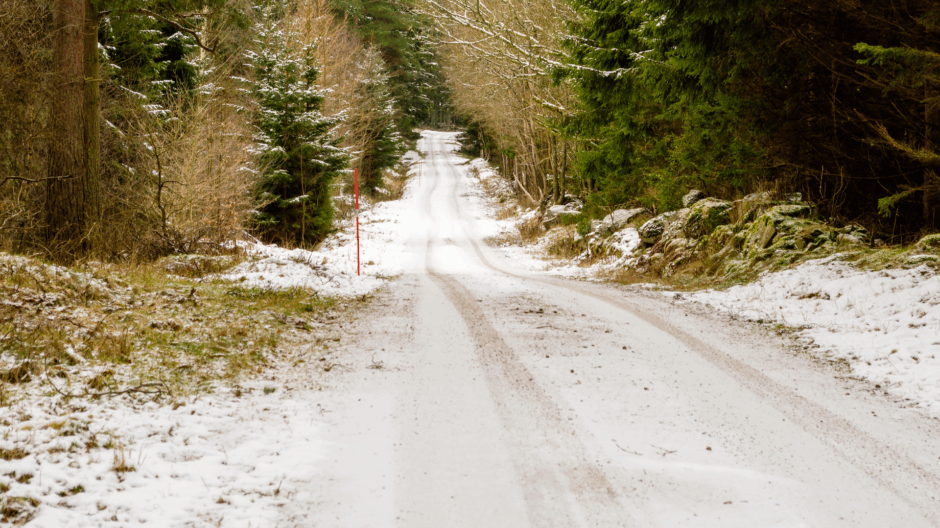 kuvituskuvassa metsäautotie, jolla vähän lunta